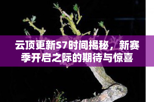 云顶更新S7时间揭秘，新赛季开启之际的期待与惊喜