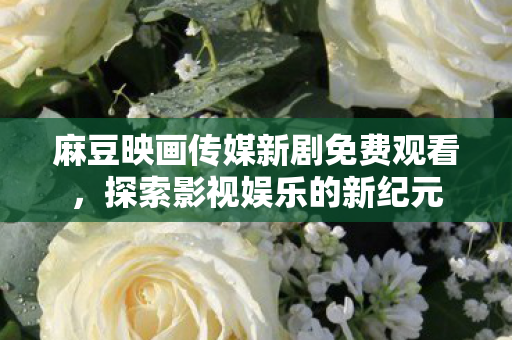 麻豆映画传媒新剧免费观看，探索影视娱乐的新纪元
