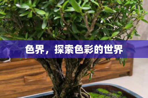 色界，探索色彩的世界