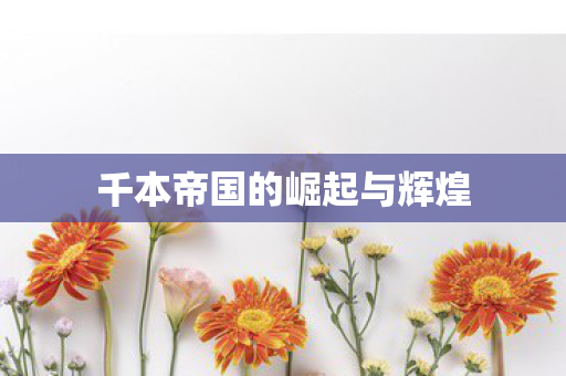 千本帝国的崛起与辉煌