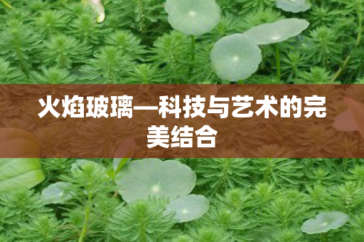 火焰玻璃—科技与艺术的完美结合