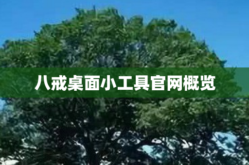 八戒桌面小工具官网概览