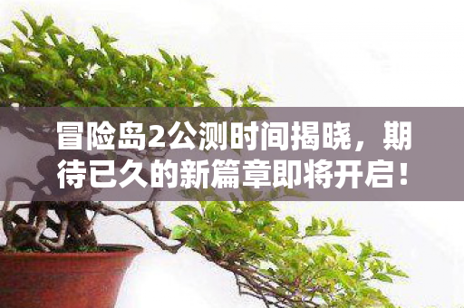 冒险岛2公测时间揭晓，期待已久的新篇章即将开启！