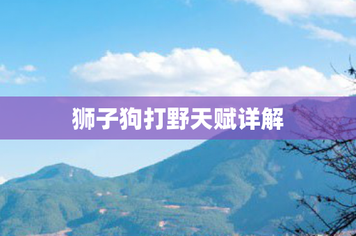 狮子狗打野天赋详解
