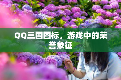 QQ三国图标，游戏中的荣誉象征