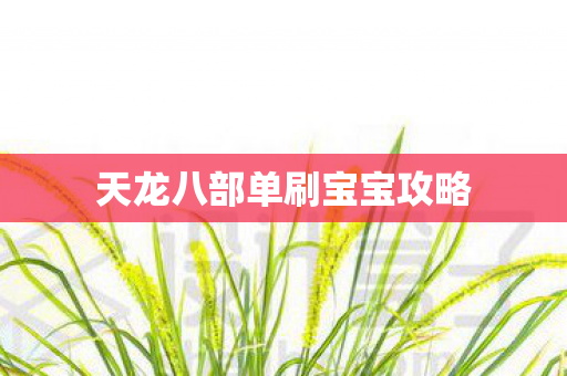 天龙八部单刷宝宝攻略