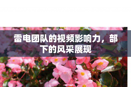 雷电团队的视频影响力,部下的风采展现 雷电团队的视频影响力,部下的风采展现