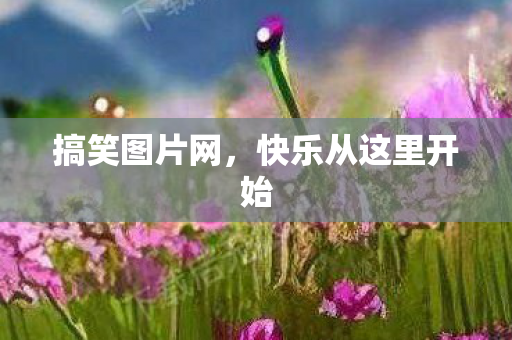 搞笑图片网，快乐从这里开始