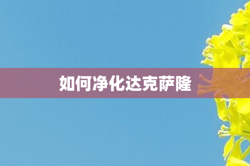 如何净化达克萨隆