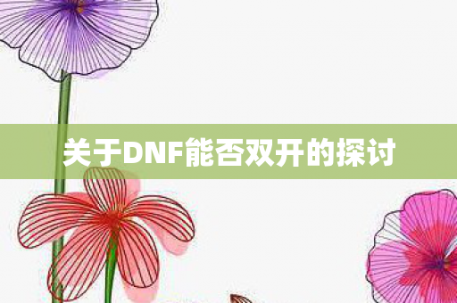 关于DNF能否双开的探讨