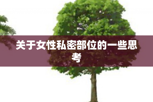 关于女性私密部位的一些思考
