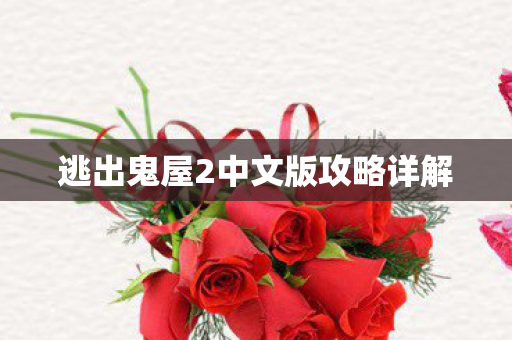 逃出鬼屋2中文版攻略详解
