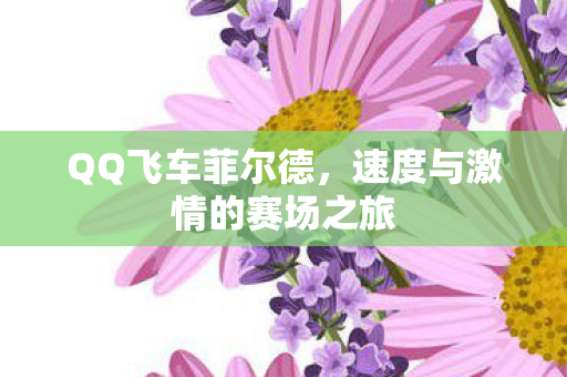 QQ飞车菲尔德，速度与激情的赛场之旅