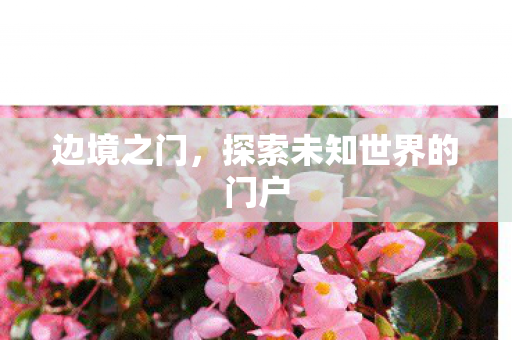 边境之门,探索未知世界的门户 边境之门,探索未知世界的门户