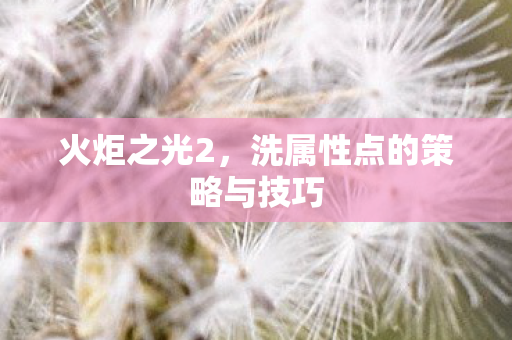 火炬之光2，洗属性点的策略与技巧