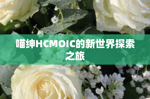 喵绅HCMOIC的新世界探索之旅 喵绅HCMOIC的新世界探索之旅