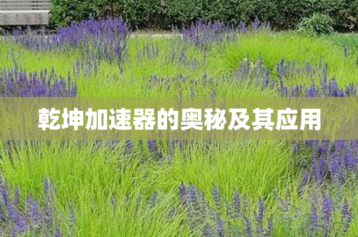 乾坤加速器的奥秘及其应用