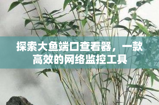 探索大鱼端口查看器，一款高效的网络监控工具