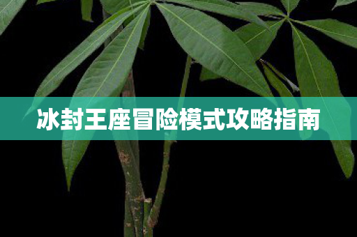 冰封王座冒险模式攻略指南