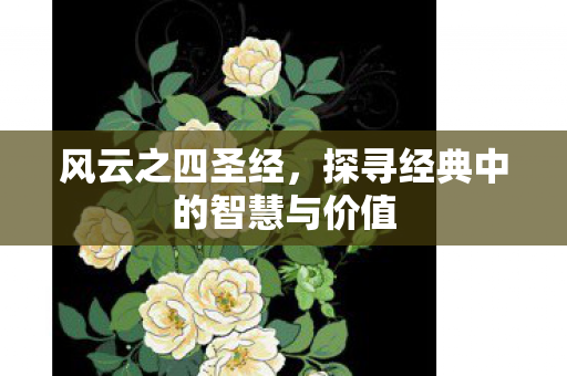 风云之四圣经，探寻经典中的智慧与价值