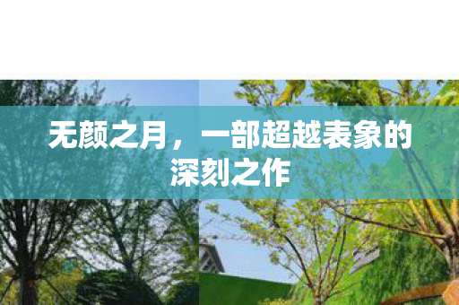 无颜之月，一部超越表象的深刻之作