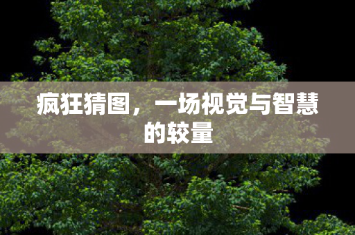 疯狂猜图，一场视觉与智慧的较量