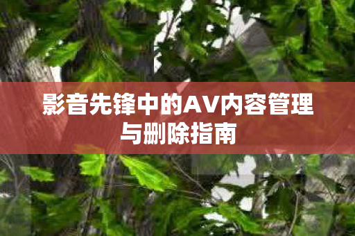 影音先锋中的AV内容管理与删除指南
