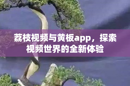 荔枝视频与黄板app，探索视频世界的全新体验