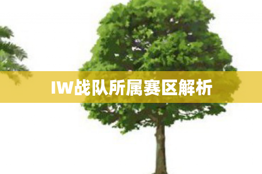 IW战队所属赛区解析