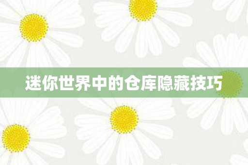 迷你世界中的仓库隐藏技巧