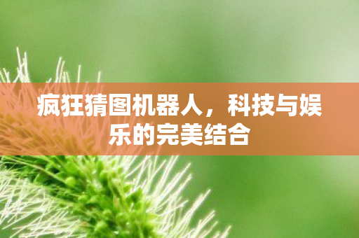 疯狂猜图机器人，科技与娱乐的完美结合