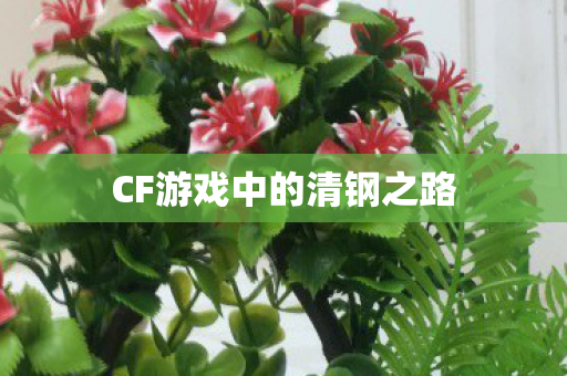CF游戏中的清钢之路