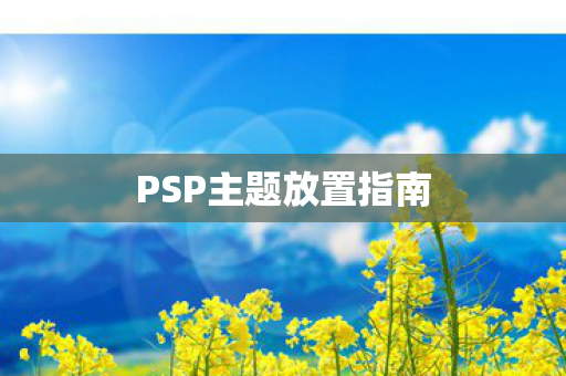 PSP主题放置指南