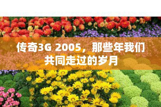 传奇3G 2005，那些年我们共同走过的岁月