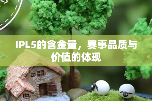 IPL5的含金量，赛事品质与价值的体现