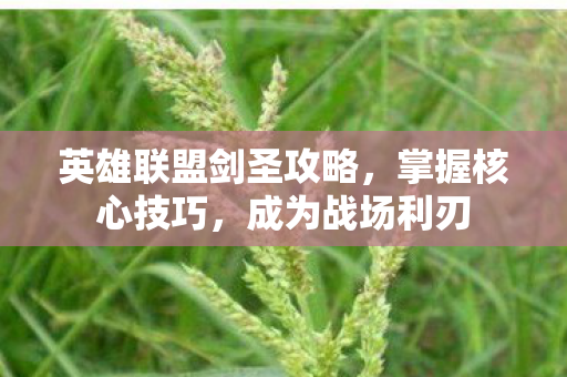 英雄联盟剑圣攻略，掌握核心技巧，成为战场利刃