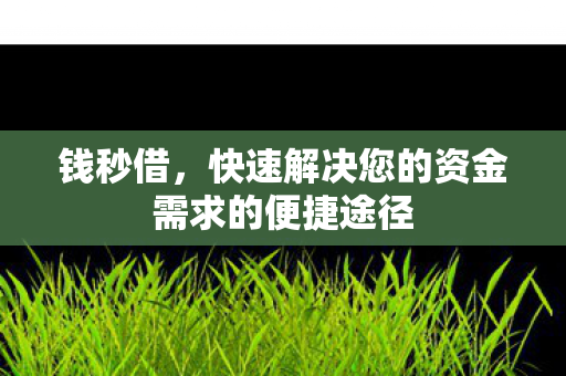 钱秒借，快速解决您的资金需求的便捷途径