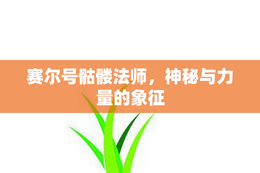 赛尔号骷髅法师，神秘与力量的象征