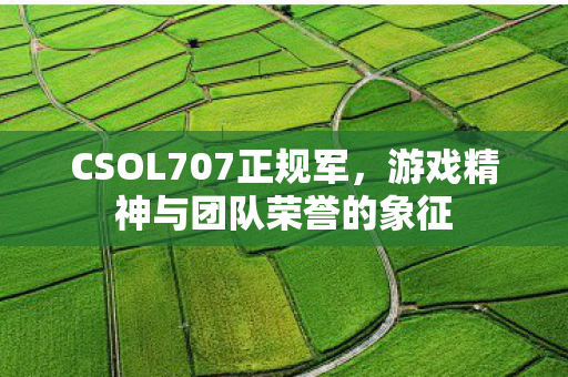 CSOL707正规军，游戏精神与团队荣誉的象征
