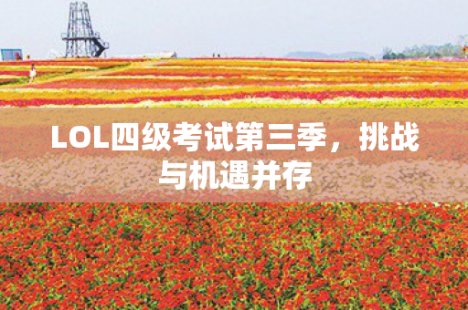 LOL四级考试第三季，挑战与机遇并存