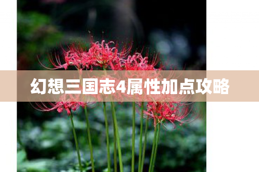 幻想三国志4属性加点攻略