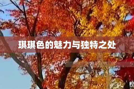 琪琪色的魅力与独特之处