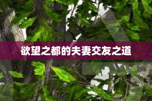 欲望之都的夫妻交友之道