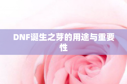 DNF诞生之芽的用途与重要性