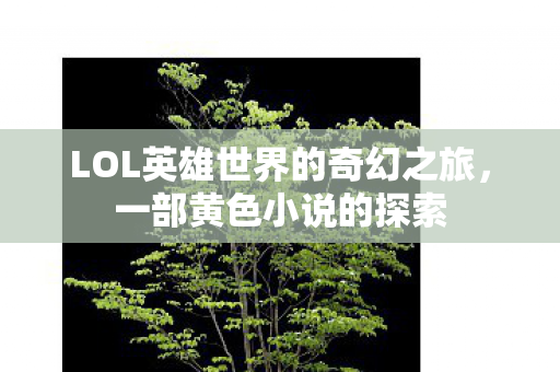 LOL英雄世界的奇幻之旅,一部黄色小说的探索 LOL英雄世界的奇幻之旅,一部黄色小说的探索