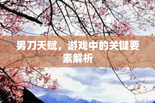 男刀天赋，游戏中的关键要素解析