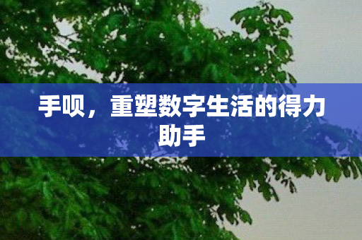 手呗，重塑数字生活的得力助手