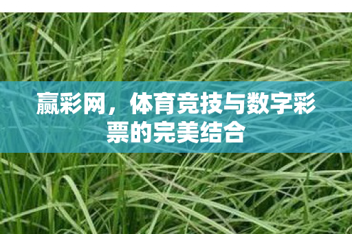 赢彩网，体育竞技与数字彩票的完美结合