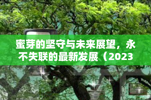 蜜芽的坚守与未来展望，永不失联的最新发展（2023年）