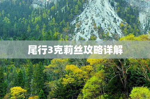 尾行3克莉丝攻略详解